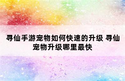 寻仙手游宠物如何快速的升级 寻仙宠物升级哪里最快